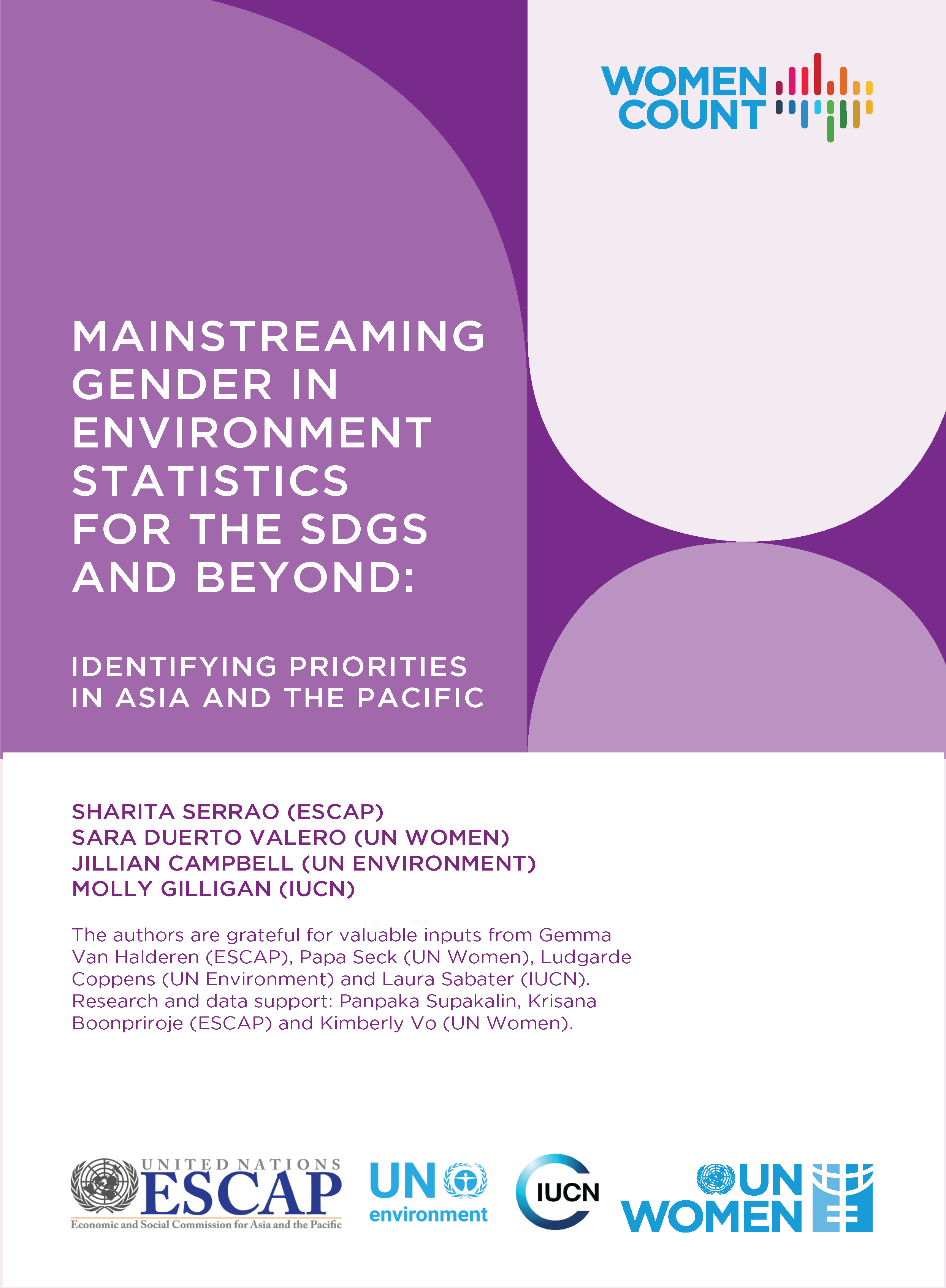 Mainstreaming gender in environment statistics for the SDGs and beyond